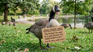 goose pickup lines